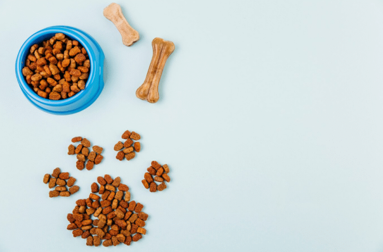Is Premium Dog Food Worth the Price? Here’s What to Know