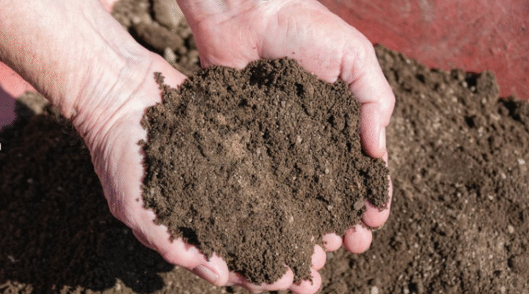 How to Choose the Right Topsoil Blend for Your Landscaping Needs